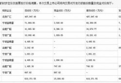闻泰科技最新爆料信息网,揭秘芯片巨头最新动态与战略布局